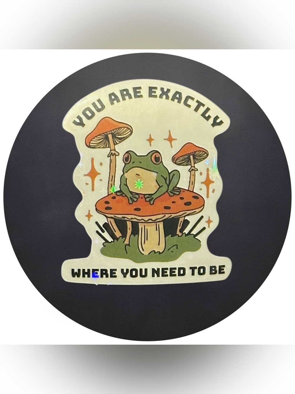 5 for $5 YOU ARE EXACTLY WHERE… Vinyl Holographic Sticker